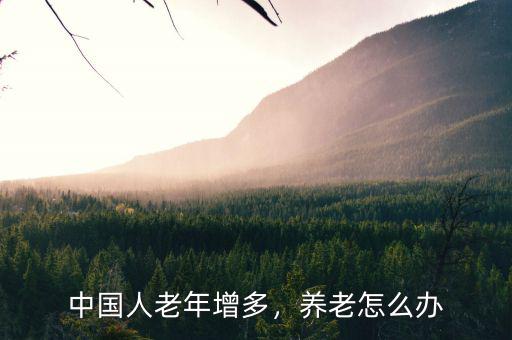 中國(guó)人老年增多，養(yǎng)老怎么辦