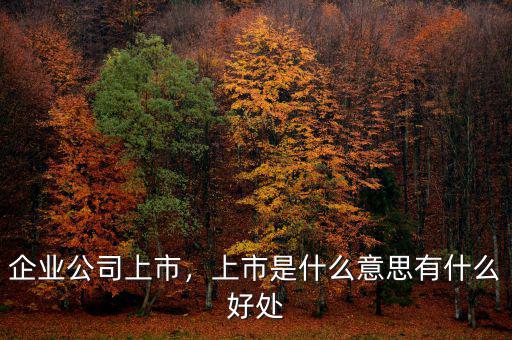 企業(yè)公司上市，上市是什么意思有什么好處