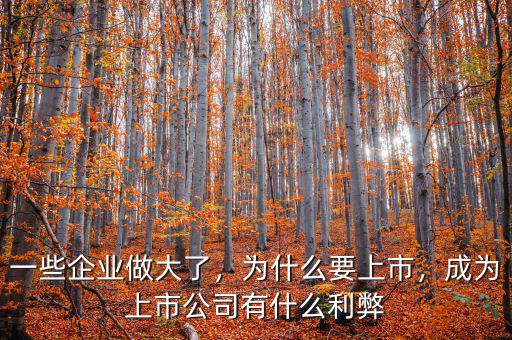 一些企業(yè)做大了，為什么要上市，成為上市公司有什么利弊