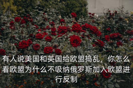有人說美國和英國給歐盟搗亂，你怎么看歐盟為什么不吸納俄羅斯加入歐盟進行反制
