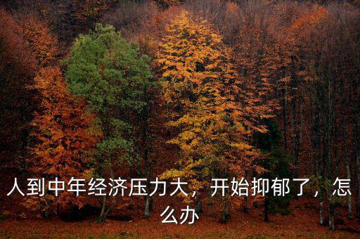 人到中年經(jīng)濟(jì)壓力大，開始抑郁了，怎么辦