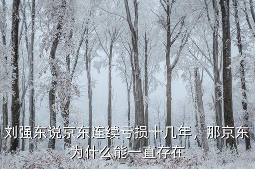 劉強(qiáng)東說京東連續(xù)虧損十幾年，那京東為什么能一直存在
