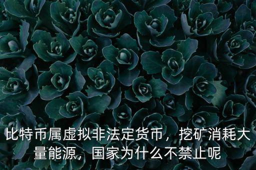 比特幣屬虛擬非法定貨幣，挖礦消耗大量能源，國家為什么不禁止呢