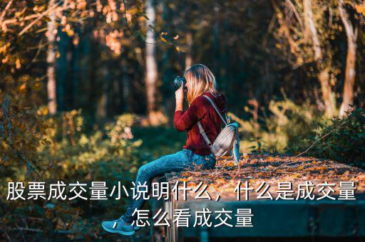 股票成交量小說明什么，什么是成交量，怎么看成交量