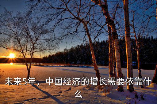 未來(lái)5年，中國(guó)經(jīng)濟(jì)的增長(zhǎng)需要依靠什么