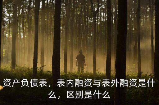 資產(chǎn)負(fù)債表，表內(nèi)融資與表外融資是什么，區(qū)別是什么