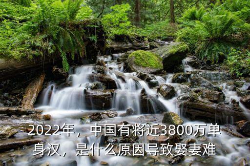 2022年，中國有將近3800萬單身漢，是什么原因?qū)е氯⑵揠y