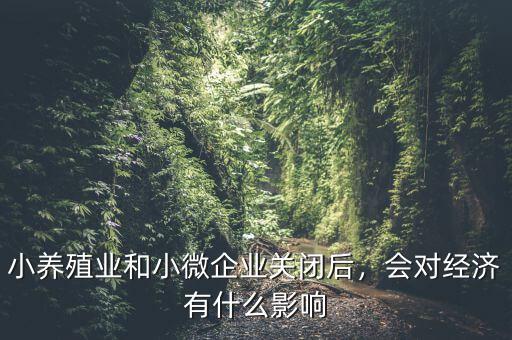 小養(yǎng)殖業(yè)和小微企業(yè)關(guān)閉后，會(huì)對(duì)經(jīng)濟(jì)有什么影響