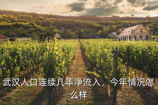 武漢人口連續(xù)幾年凈流入，今年情況怎么樣