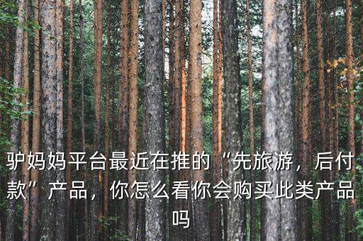 驢媽媽平臺(tái)最近在推的“先旅游，后付款”產(chǎn)品，你怎么看你會(huì)購(gòu)買此類產(chǎn)品嗎