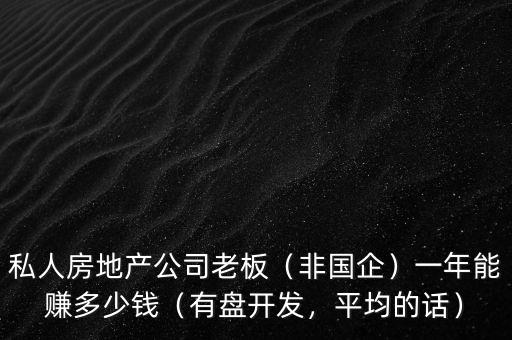 私人房地產(chǎn)公司老板（非國企）一年能賺多少錢（有盤開發(fā)，平均的話）