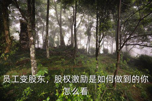 員工變股東，股權(quán)激勵是如何做到的你怎么看