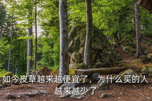 如今皮草越來(lái)越便宜了，為什么買(mǎi)的人越來(lái)越少了