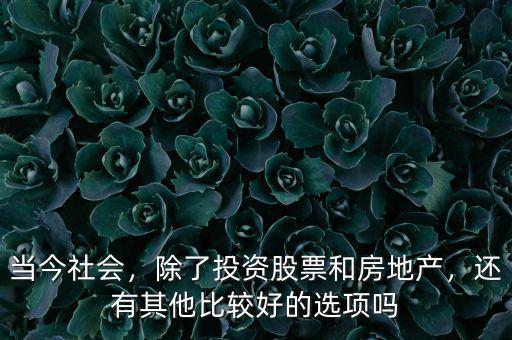 當(dāng)今社會(huì)，除了投資股票和房地產(chǎn)，還有其他比較好的選項(xiàng)嗎