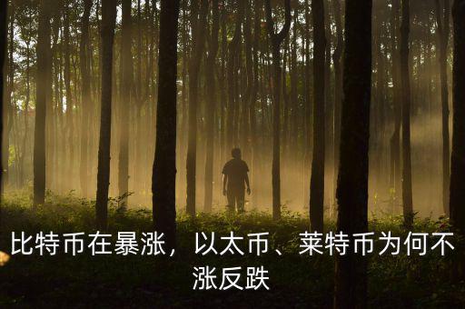 比特幣在暴漲，以太幣、萊特幣為何不漲反跌