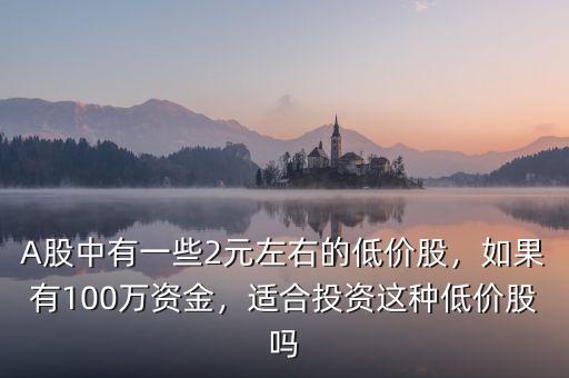 A股中有一些2元左右的低價股，如果有100萬資金，適合投資這種低價股嗎