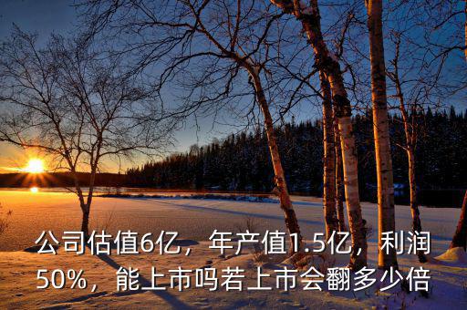 公司估值6億，年產(chǎn)值1.5億，利潤50%，能上市嗎若上市會(huì)翻多少倍