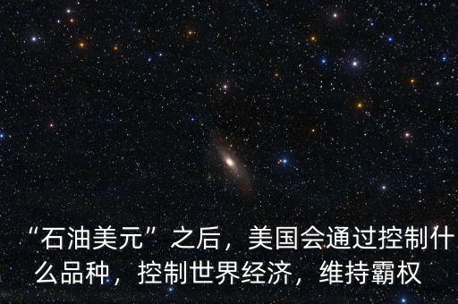 “石油美元”之后，美國(guó)會(huì)通過(guò)控制什么品種，控制世界經(jīng)濟(jì)，維持霸權(quán)