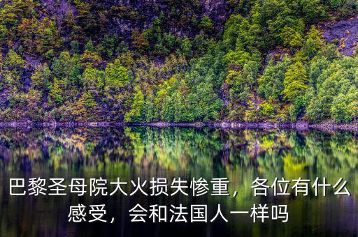 巴黎圣母院大火損失慘重，各位有什么感受，會(huì)和法國(guó)人一樣嗎