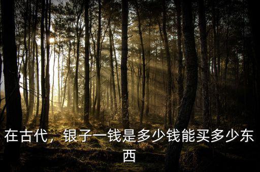 在古代，銀子一錢是多少錢能買多少東西