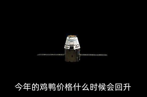 今年的雞鴨價(jià)格什么時(shí)候會回升