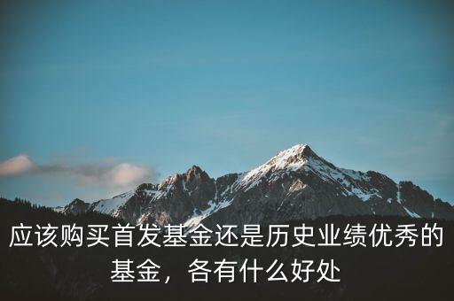 應(yīng)該購(gòu)買首發(fā)基金還是歷史業(yè)績(jī)優(yōu)秀的基金，各有什么好處