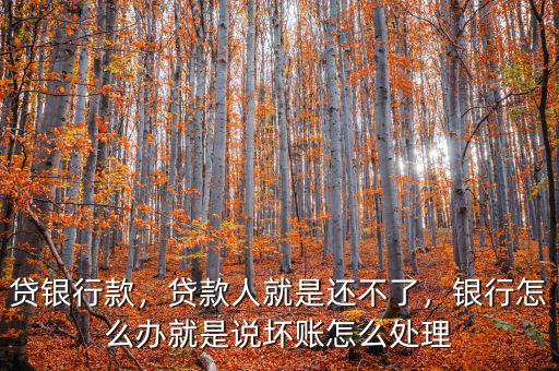 貸銀行款，貸款人就是還不了，銀行怎么辦就是說壞賬怎么處理