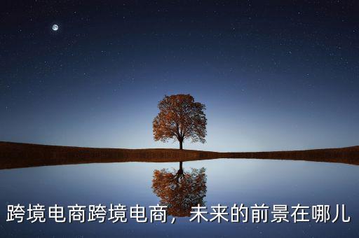 跨境電商跨境電商，未來(lái)的前景在哪兒