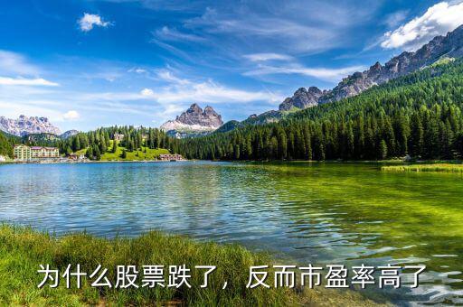 為什么股票跌了，反而市盈率高了