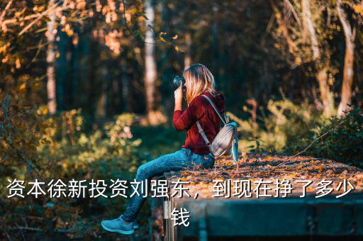 資本徐新投資劉強(qiáng)東，到現(xiàn)在掙了多少錢(qián)
