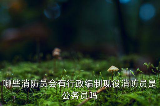 什么是現役消防員,現役消防員是公務員嗎