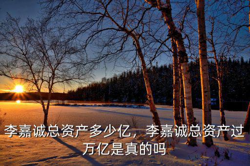 李嘉誠總資產(chǎn)多少億，李嘉誠總資產(chǎn)過萬億是真的嗎