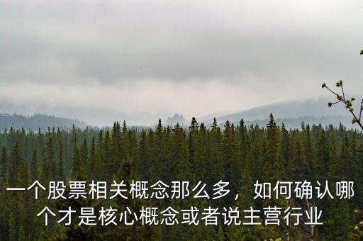 一個股票相關(guān)概念那么多，如何確認(rèn)哪個才是核心概念或者說主營行業(yè)