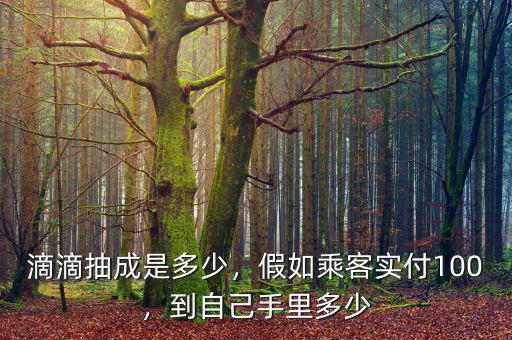 滴滴抽成是多少，假如乘客實(shí)付100，到自己手里多少