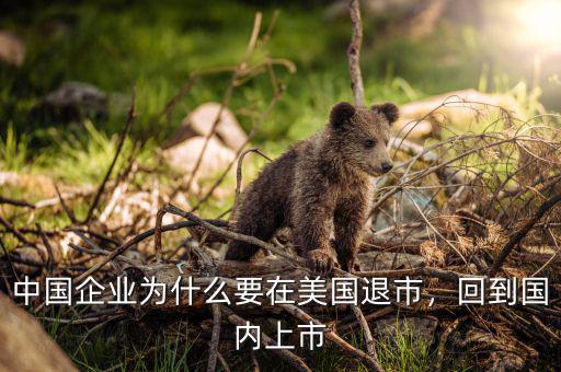 中國企業(yè)為什么要在美國退市，回到國內(nèi)上市