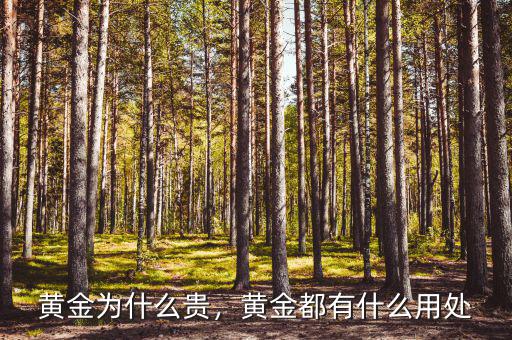 黃金為什么貴，黃金都有什么用處