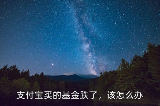 支付寶買的基金跌了，該怎么辦