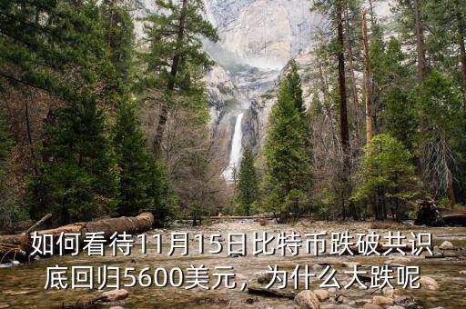 如何看待11月15日比特幣跌破共識(shí)底回歸5600美元，為什么大跌呢