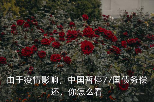 由于疫情影響，中國(guó)暫停77國(guó)債務(wù)償還，你怎么看