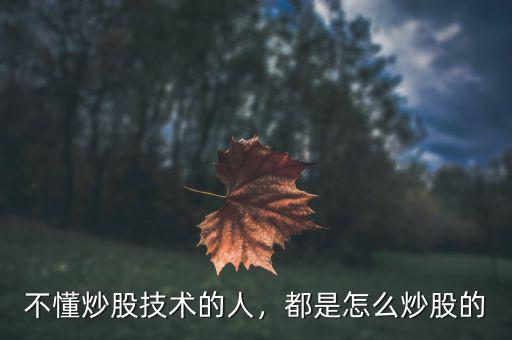 不懂炒股技術(shù)的人，都是怎么炒股的