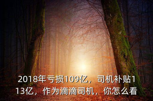 2018年虧損109億，司機補貼113億，作為滴滴司機，你怎么看