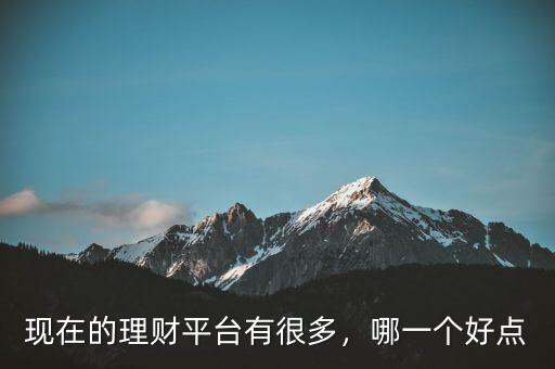 現(xiàn)在的理財(cái)平臺(tái)有很多，哪一個(gè)好點(diǎn)