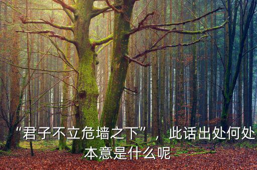 “君子不立危墻之下”，此話出處何處本意是什么呢