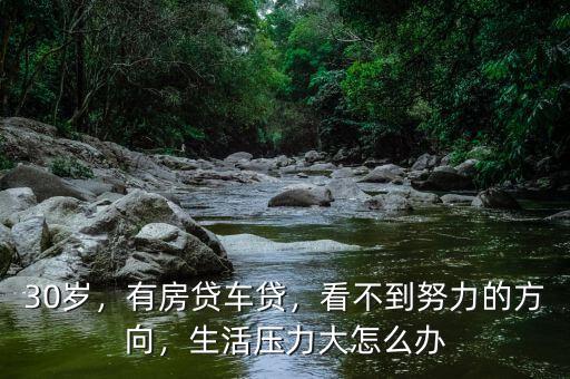 30歲，有房貸車貸，看不到努力的方向，生活壓力大怎么辦