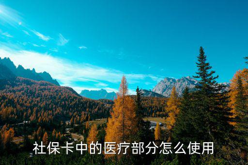 社?？ㄖ械尼t(yī)療部分怎么使用