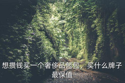 想攢錢買一個奢侈品包包，買什么牌子最保值