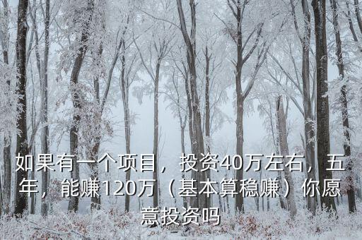 如果有一個(gè)項(xiàng)目，投資40萬(wàn)左右，五年，能賺120萬(wàn)（基本算穩(wěn)賺）你愿意投資嗎