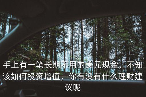 手上有一筆長期不用的美元現(xiàn)金，不知該如何投資增值，你有沒有什么理財建議呢