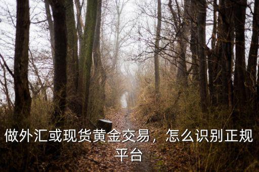 做外匯或現(xiàn)貨黃金交易，怎么識別正規(guī)平臺