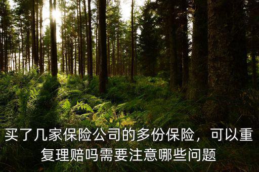 買了幾家保險公司的多份保險，可以重復(fù)理賠嗎需要注意哪些問題